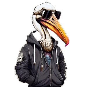 Hoodie graphic of a pelican wearing a hoody with sunglasses on.